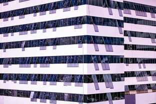 mk体育平台登录入口-体育赛事风险管控体系建设，体育赛事风险防范