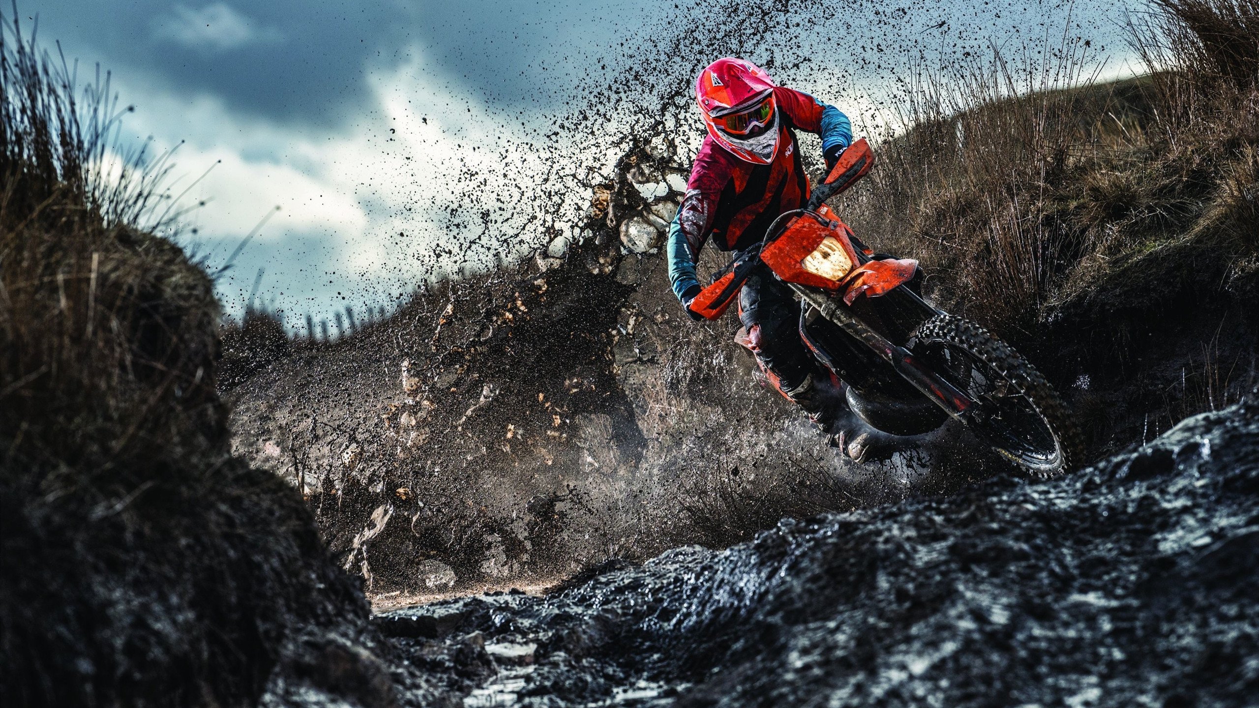 澳大利亚队未来发展蓝图：如何成为世界乒乓强队，2021澳大利亚乒乓球队