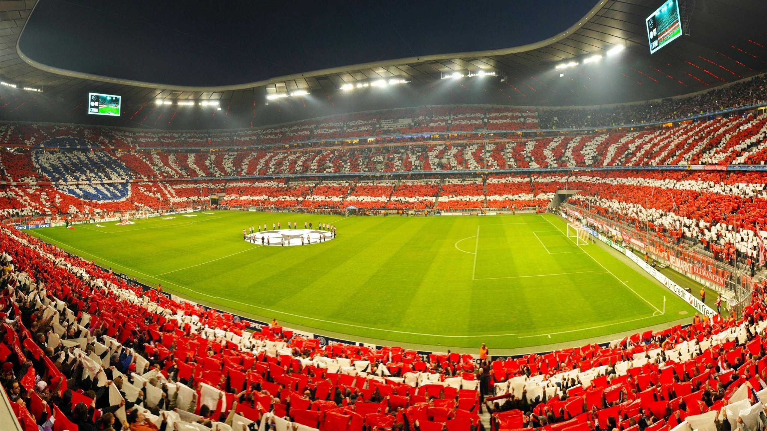 mk体育-张伟丽为训练馆搬迁剪彩表达感谢，张伟丽教练团队介绍