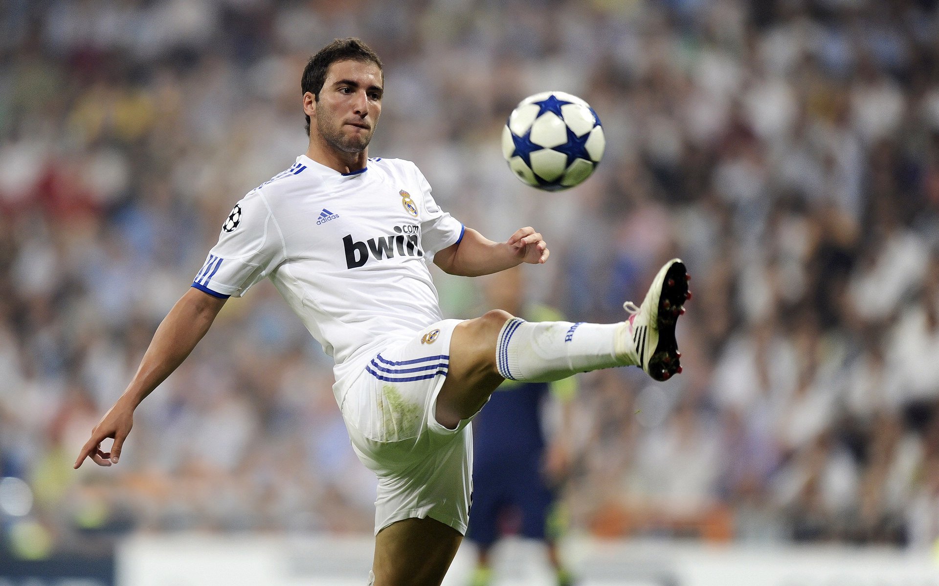 mk体育网址-“伊万·戈梅斯的精准突破与战术执行力，推动阿根廷美洲狮队迈向世界顶级”